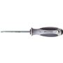 WITTE-73206-Destornillador-Torx-MAXXPRO-Inoxidable-T-10x80--1