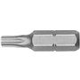 WITTE-29483-Punta-Torx-seguridad-STANDARD-guia-1-4-corta-T25x25--1