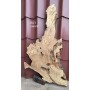 Madera de OLIVO ESPAÑOL fresado y calibrado 1180x570x40 mm