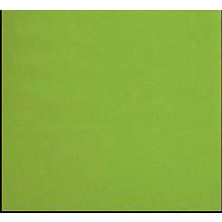 Plancha-de-acetato-de-celulosa-Pistacho-35x30-cm-R-Agullo-1