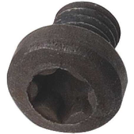 Tornillo-TORX-t15-m4x4x6-2-CMT-1