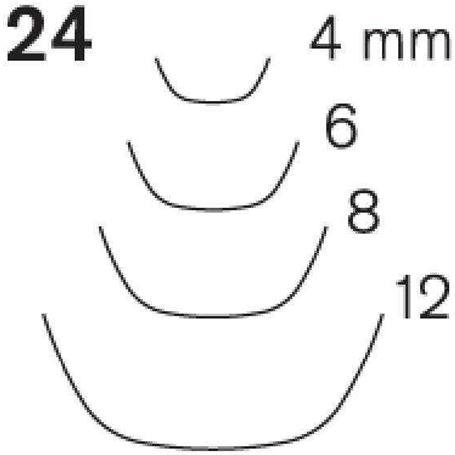 Gubia-fluteroni-Pfeil-24-8-1