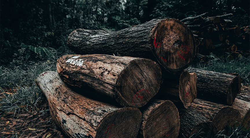 maderas certificadas